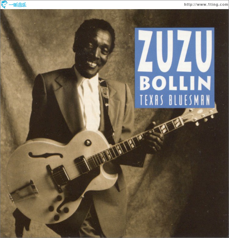 Texas Bluesman