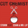 Storm [Feat. Edan And Mr. Lif] (DMD Single)