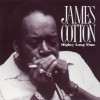 James Cotton Call It Stormy Monday 试听