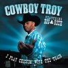 Cowboy Troy (Featuring Big & Rich) I Play Chicken With The Train (with Big & Rich) 试听