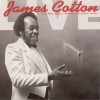 James Cotton Gone To Main Street 试听