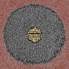 Busdriver (Bloody Paw On The) Kill Floor 试听