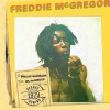 Freddie McGregor We Got Love (Album Version) 试听