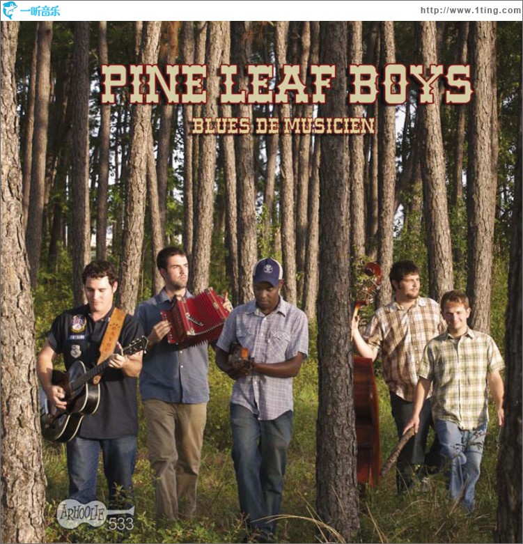 Blues De Musicien
