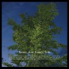 Loney, Dear Carrying a Stone (Album) 试听