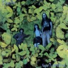 Elevator Through Rain (Album) 试听