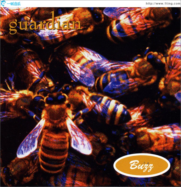 Buzz