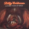 Billy Cobham Panhandler [LP Version] 试听
