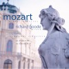 Richard Goode Allegro Maestoso 试听