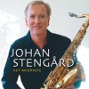 Johan Stengård Det vackraste 试听