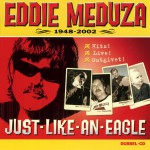 Just Like An Eagle详情