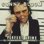 Perfect Crime详情