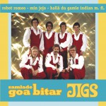 Samlade goa bitar详情
