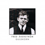Guldkorn详情