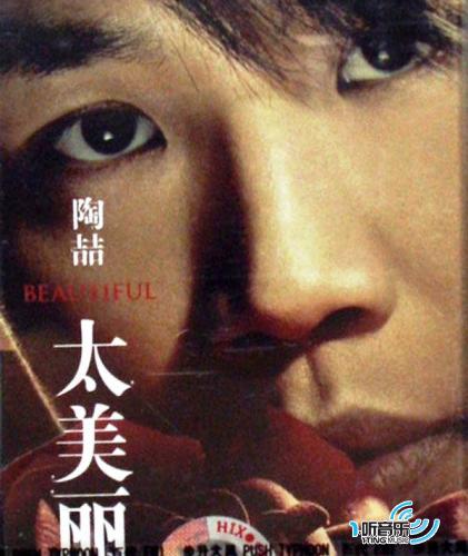 太美丽