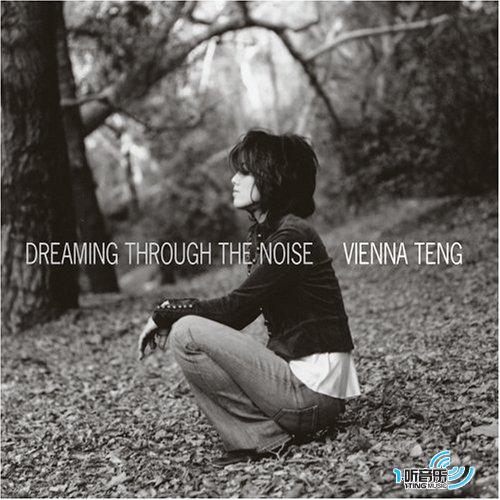 Dreaming Through The Noise 梦越噪声