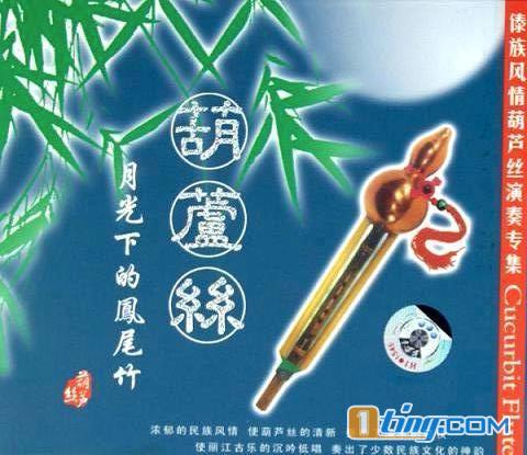 月光下的凤尾竹(傣族风情葫芦丝演奏)