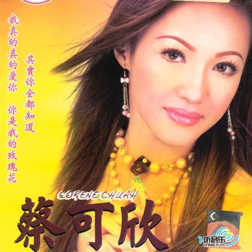 网络情感之旅