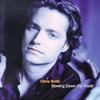 Chris Botti Irresistible Bliss 试听