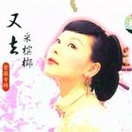 又去采槟榔详情