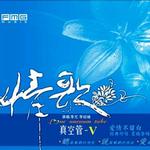 情歌真空管 V