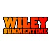 Wiley Summertime [Radio Edit] 试听