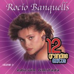 12 Grandes exitos Vol. 2详情
