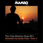 The Cafe Mambo Ibiza EPs selected by Andy Cato Part 1详情