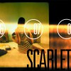 Scarlet Revolver 试听