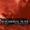 Remembering Never To The Girl I Loved For An Hour 试听