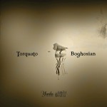 Torquato & Boghosian详情