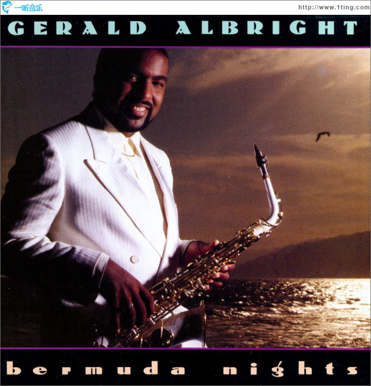 Bermuda Nights