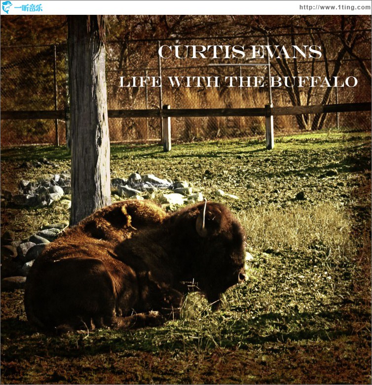 Life With the Buffalo