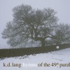 k.d. lang After the Gold Rush 试听