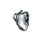 White Pepper详情