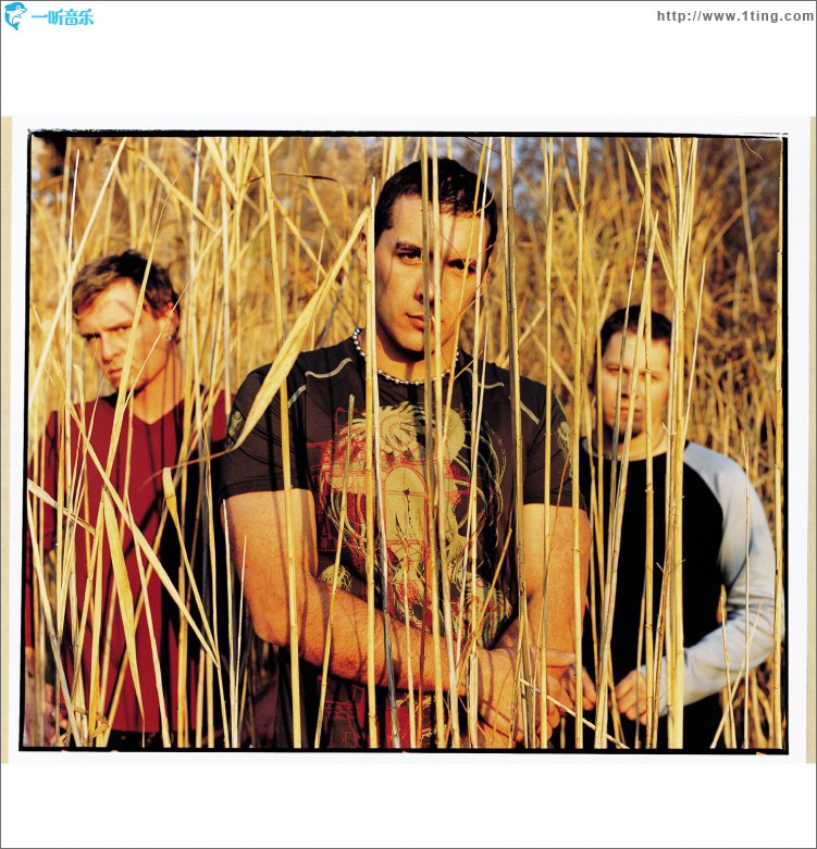 Wall Of Shame (Online Music)