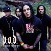 P.O.D. Freedom Fighters (Live) 试听