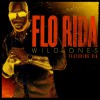 Flo Rida Wild Ones (feat. Sia) 试听