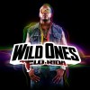 Flo Rida Run (feat. RedFoo of LMFAO) [Bonus Track] 试听