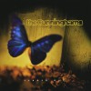 The Cunninghams Days Gone By (Album Version) 试听