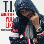 Whatever You Like V Cast Collection (Amended)详情