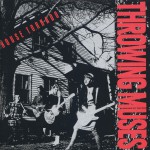 House Tornado详情