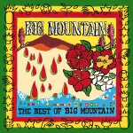 The Best Of Big Mountain详情