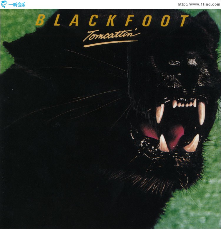 Tomcattin'