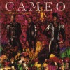 Cameo Emotional Violence (Album Version) 试听