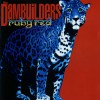 The Dambuilders Cosmonaut (LP Version) 试听