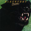 Blackfoot Warped (LP Version) 试听
