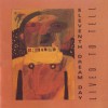 Eleventh Dream Day There's This Thing (LP Version) 试听