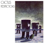 Restrictions详情