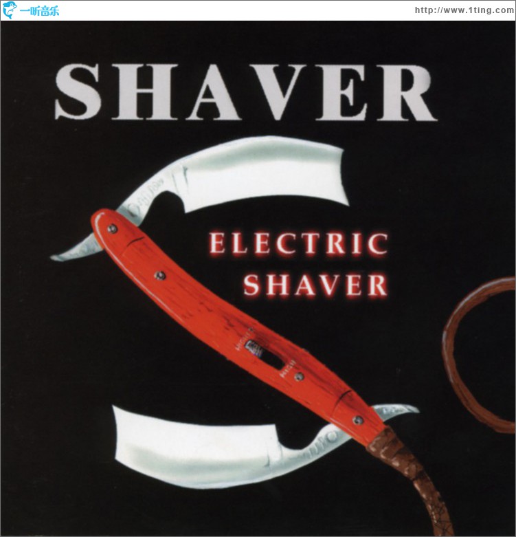 Electric Shaver